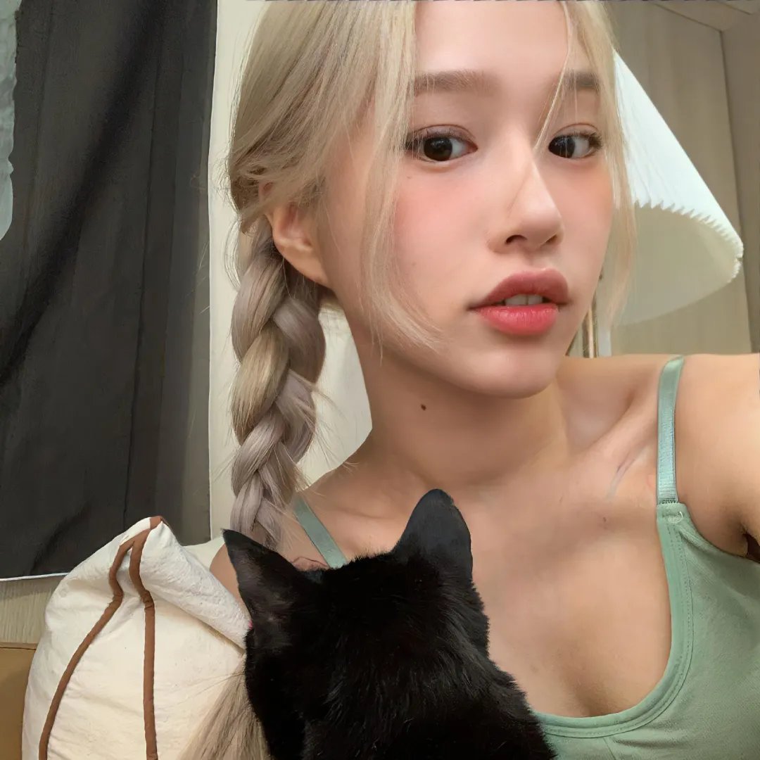 猫无赦